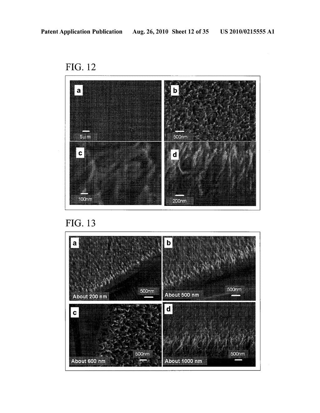 PROCESS FOR PRODUCING NANOSTRUCTURE COMPOSITE-COVERED STRUCTURE, NANOSTRUCTURE COMPOSITE-COVERED STRUCTURE, AND REACTOR USING NANOSTRUCTURE COMPOSITE-COVERED STRUCTURE - diagram, schematic, and image 13