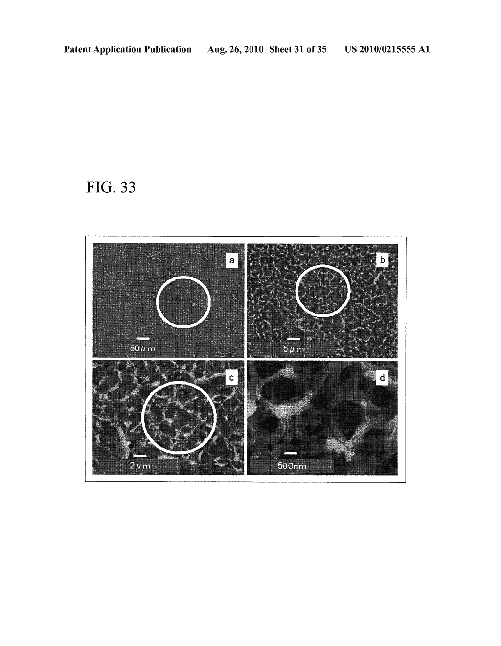 PROCESS FOR PRODUCING NANOSTRUCTURE COMPOSITE-COVERED STRUCTURE, NANOSTRUCTURE COMPOSITE-COVERED STRUCTURE, AND REACTOR USING NANOSTRUCTURE COMPOSITE-COVERED STRUCTURE - diagram, schematic, and image 32