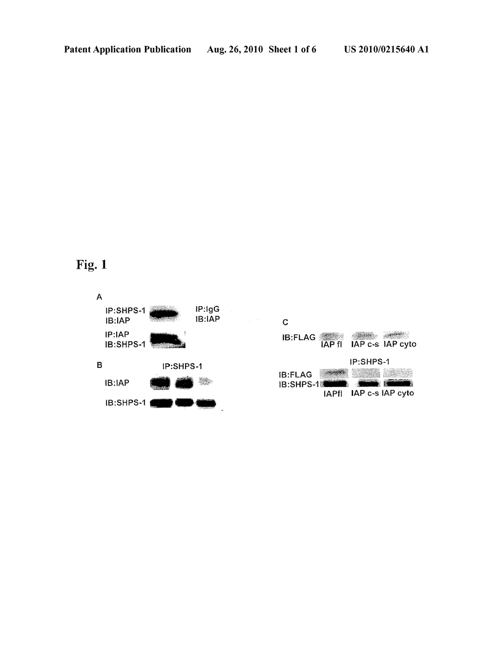 METHOD FOR INHIBITING CELLULAR ACTIVATION BY INSULIN-LIKE GROWTH FACTOR-1 - diagram, schematic, and image 02