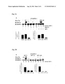 METHOD FOR INHIBITING CELLULAR ACTIVATION BY INSULIN-LIKE GROWTH FACTOR-1 diagram and image