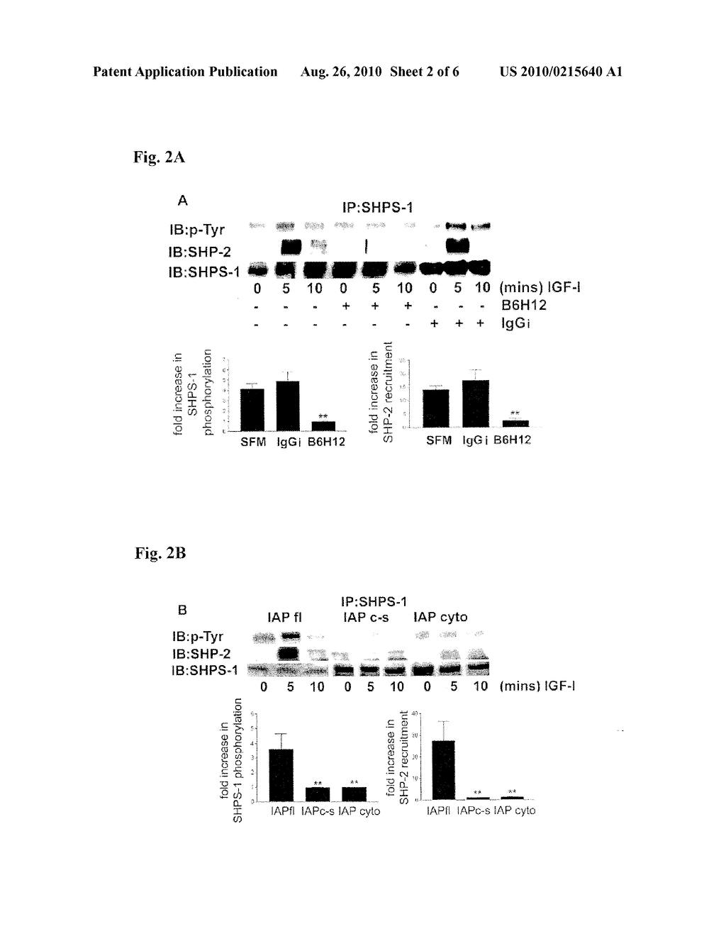 METHOD FOR INHIBITING CELLULAR ACTIVATION BY INSULIN-LIKE GROWTH FACTOR-1 - diagram, schematic, and image 03