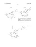 ANTI-CD79B ANTIBODIES AND IMMUNOCONJUGATES AND METHODS OF USE diagram and image