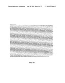 STREPTOCOCCUS M PROTEIN, IMMUNOGENIC FRAGMENTS, NUCLEIC ACIDS AND METHODS OF USE diagram and image