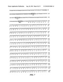 STREPTOCOCCUS M PROTEIN, IMMUNOGENIC FRAGMENTS, NUCLEIC ACIDS AND METHODS OF USE diagram and image