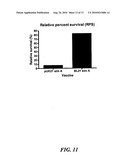 STREPTOCOCCUS M PROTEIN, IMMUNOGENIC FRAGMENTS, NUCLEIC ACIDS AND METHODS OF USE diagram and image