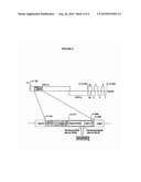 Infectious cDNA of North American Porcine Reproductive and Respiratory Syndrome (PRRS) Virus and Uses Thereof diagram and image