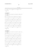 Infectious cDNA of North American Porcine Reproductive and Respiratory Syndrome (PRRS) Virus and Uses Thereof diagram and image