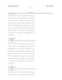 Infectious cDNA of North American Porcine Reproductive and Respiratory Syndrome (PRRS) Virus and Uses Thereof diagram and image