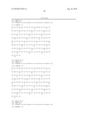 Infectious cDNA of North American Porcine Reproductive and Respiratory Syndrome (PRRS) Virus and Uses Thereof diagram and image