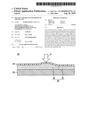 POULTICE AND PROCESS FOR PRODUCING THE POULTICE diagram and image