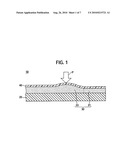 POULTICE AND PROCESS FOR PRODUCING THE POULTICE diagram and image