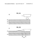 POULTICE AND PROCESS FOR PRODUCING THE POULTICE diagram and image