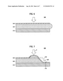 POULTICE AND PROCESS FOR PRODUCING THE POULTICE diagram and image