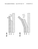 POULTICE AND PROCESS FOR PRODUCING THE POULTICE diagram and image