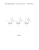 OLIGONUCLEOTIDE ANALOGUES INCORPORATING 5-AZA-CYTOSINE THEREIN diagram and image