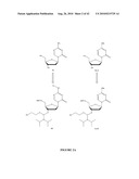 OLIGONUCLEOTIDE ANALOGUES INCORPORATING 5-AZA-CYTOSINE THEREIN diagram and image