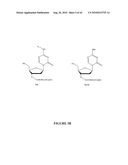 OLIGONUCLEOTIDE ANALOGUES INCORPORATING 5-AZA-CYTOSINE THEREIN diagram and image