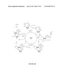 OLIGONUCLEOTIDE ANALOGUES INCORPORATING 5-AZA-CYTOSINE THEREIN diagram and image