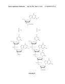 OLIGONUCLEOTIDE ANALOGUES INCORPORATING 5-AZA-CYTOSINE THEREIN diagram and image