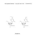 OLIGONUCLEOTIDE ANALOGUES INCORPORATING 5-AZA-CYTOSINE THEREIN diagram and image