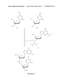 OLIGONUCLEOTIDE ANALOGUES INCORPORATING 5-AZA-CYTOSINE THEREIN diagram and image