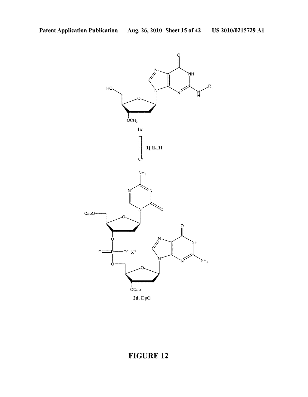 OLIGONUCLEOTIDE ANALOGUES INCORPORATING 5-AZA-CYTOSINE THEREIN - diagram, schematic, and image 16