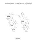 OLIGONUCLEOTIDE ANALOGUES INCORPORATING 5-AZA-CYTOSINE THEREIN diagram and image