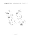 OLIGONUCLEOTIDE ANALOGUES INCORPORATING 5-AZA-CYTOSINE THEREIN diagram and image