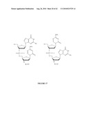 OLIGONUCLEOTIDE ANALOGUES INCORPORATING 5-AZA-CYTOSINE THEREIN diagram and image