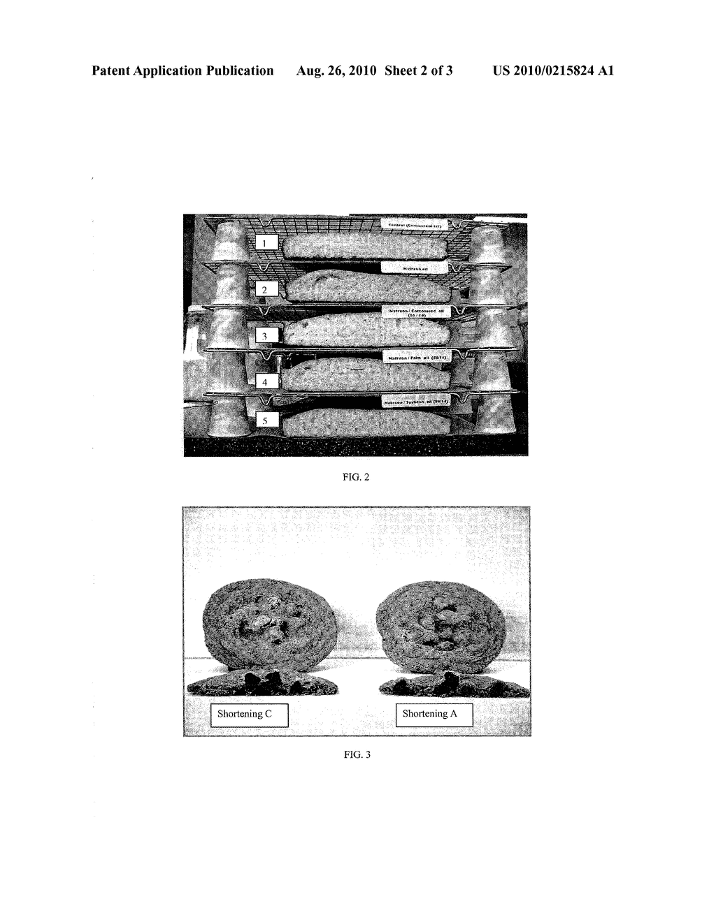 COMPOSITIONS SUITABLE FOR FOOD SYSTEMS AND METHODS FOR FORMING THE SAME - diagram, schematic, and image 03