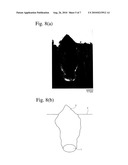 HARD-COATED MEMBER, AND ITS PRODUCTION METHOD diagram and image