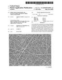 FIBER CROSS-LINKED BODY AND MANUFACTURING METHOD OF FIBER CROSS-LINKED BODY diagram and image