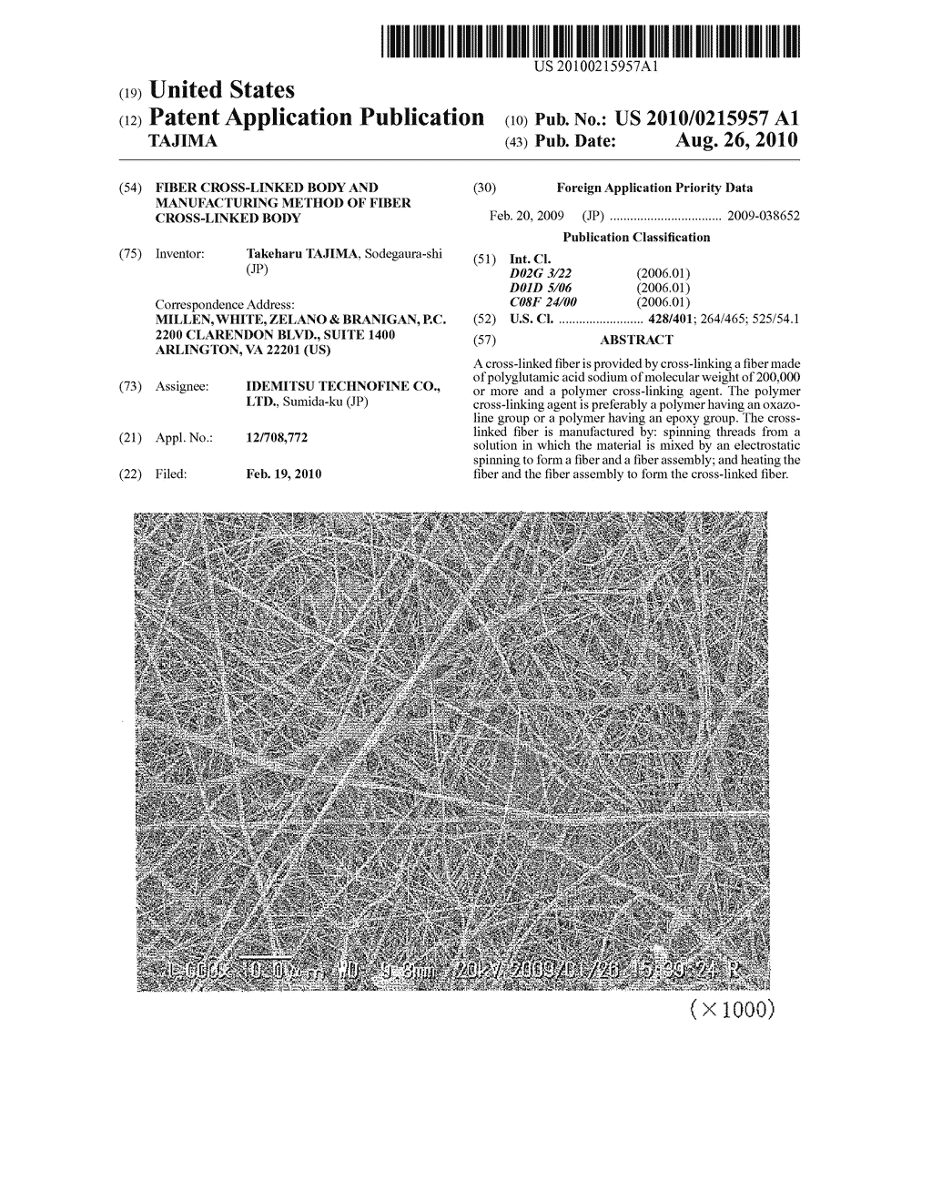 FIBER CROSS-LINKED BODY AND MANUFACTURING METHOD OF FIBER CROSS-LINKED BODY - diagram, schematic, and image 01