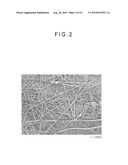 FIBER CROSS-LINKED BODY AND MANUFACTURING METHOD OF FIBER CROSS-LINKED BODY diagram and image