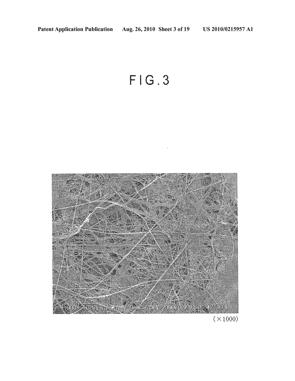 FIBER CROSS-LINKED BODY AND MANUFACTURING METHOD OF FIBER CROSS-LINKED BODY - diagram, schematic, and image 04