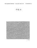 FIBER CROSS-LINKED BODY AND MANUFACTURING METHOD OF FIBER CROSS-LINKED BODY diagram and image