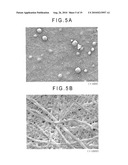 FIBER CROSS-LINKED BODY AND MANUFACTURING METHOD OF FIBER CROSS-LINKED BODY diagram and image