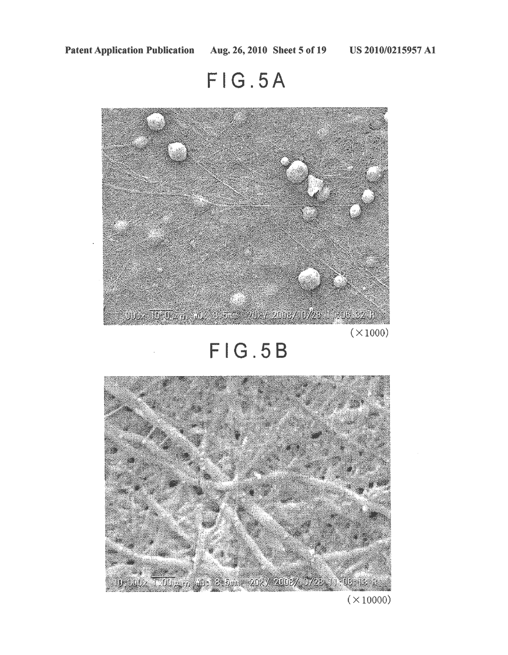 FIBER CROSS-LINKED BODY AND MANUFACTURING METHOD OF FIBER CROSS-LINKED BODY - diagram, schematic, and image 06