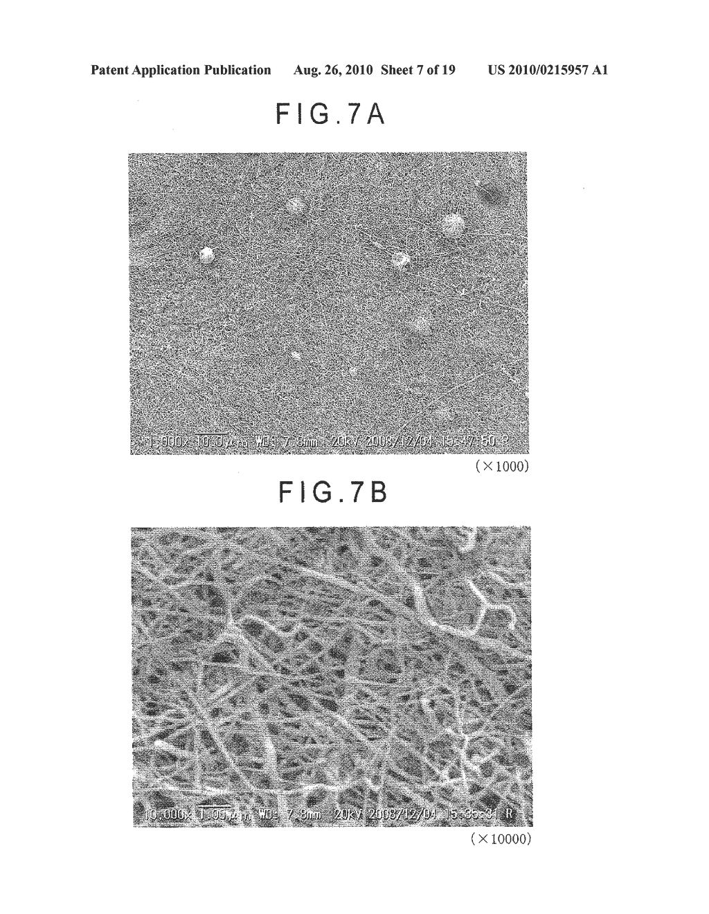 FIBER CROSS-LINKED BODY AND MANUFACTURING METHOD OF FIBER CROSS-LINKED BODY - diagram, schematic, and image 08