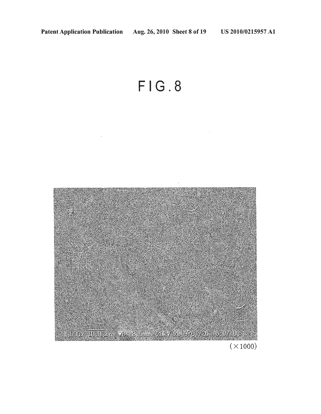 FIBER CROSS-LINKED BODY AND MANUFACTURING METHOD OF FIBER CROSS-LINKED BODY - diagram, schematic, and image 09