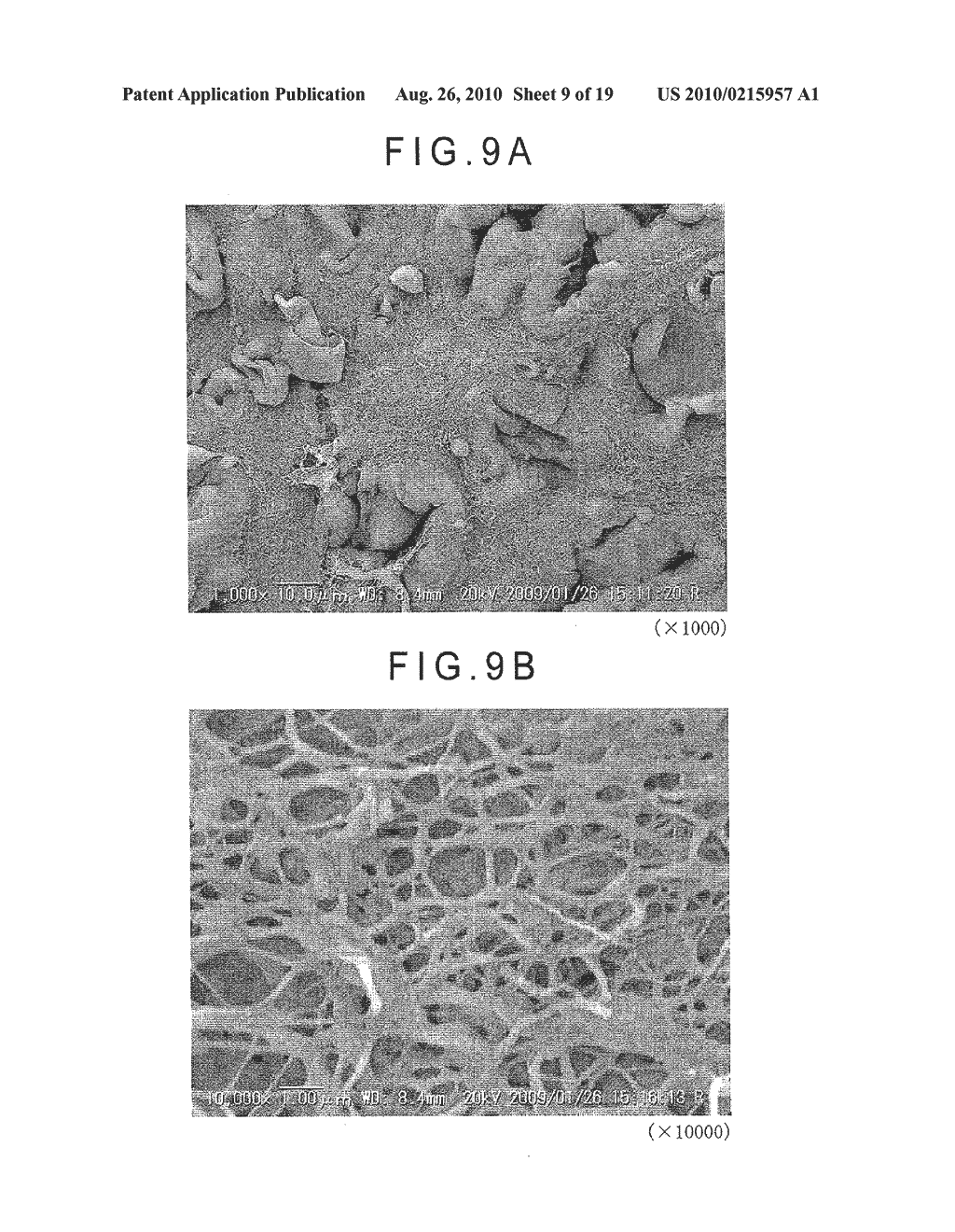 FIBER CROSS-LINKED BODY AND MANUFACTURING METHOD OF FIBER CROSS-LINKED BODY - diagram, schematic, and image 10