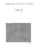 FIBER CROSS-LINKED BODY AND MANUFACTURING METHOD OF FIBER CROSS-LINKED BODY diagram and image