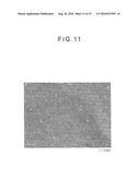 FIBER CROSS-LINKED BODY AND MANUFACTURING METHOD OF FIBER CROSS-LINKED BODY diagram and image