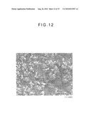 FIBER CROSS-LINKED BODY AND MANUFACTURING METHOD OF FIBER CROSS-LINKED BODY diagram and image