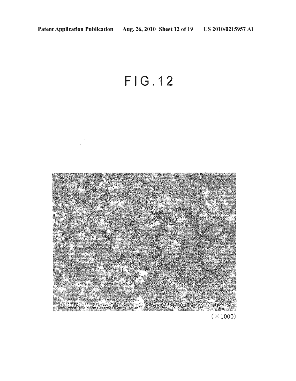 FIBER CROSS-LINKED BODY AND MANUFACTURING METHOD OF FIBER CROSS-LINKED BODY - diagram, schematic, and image 13