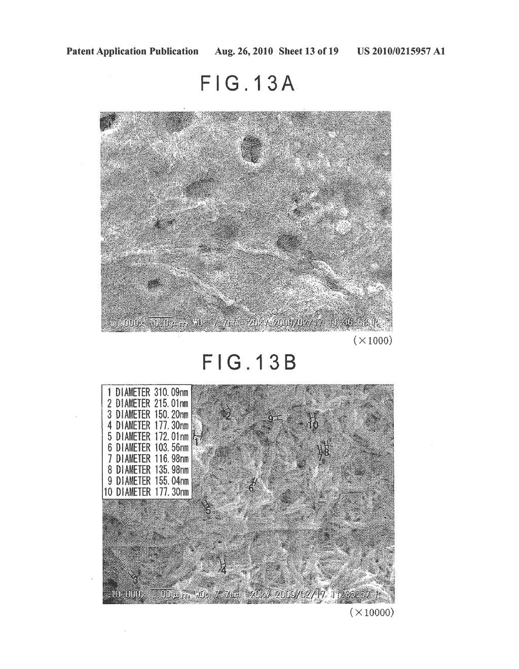 FIBER CROSS-LINKED BODY AND MANUFACTURING METHOD OF FIBER CROSS-LINKED BODY - diagram, schematic, and image 14