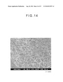 FIBER CROSS-LINKED BODY AND MANUFACTURING METHOD OF FIBER CROSS-LINKED BODY diagram and image