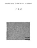 FIBER CROSS-LINKED BODY AND MANUFACTURING METHOD OF FIBER CROSS-LINKED BODY diagram and image