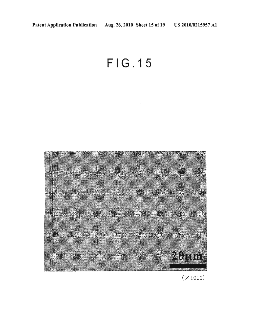 FIBER CROSS-LINKED BODY AND MANUFACTURING METHOD OF FIBER CROSS-LINKED BODY - diagram, schematic, and image 16