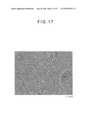 FIBER CROSS-LINKED BODY AND MANUFACTURING METHOD OF FIBER CROSS-LINKED BODY diagram and image